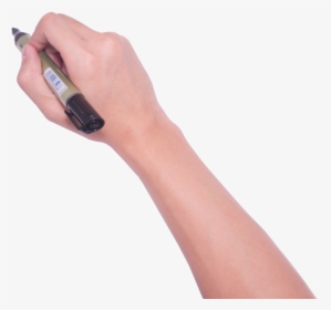 Hand Holding Marker Photo Files - Hand Holding Pen Png, Transparent Png, Transparent PNG