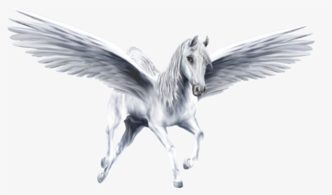 Pegasus Png Image - Pegasus Png, Transparent Png, Transparent PNG