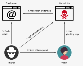 Cycle - Schema Phishing, HD Png Download, Transparent PNG