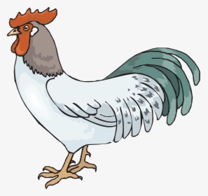 Rooster Png Pic - Rooster Clip Art, Transparent Png, Transparent PNG