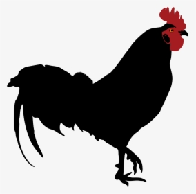 Rooster Silhouette - Rooster Silhouette Png, Transparent Png, Transparent PNG