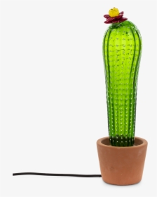 Transparent Cacti Png - Lamp, Png Download, Transparent PNG