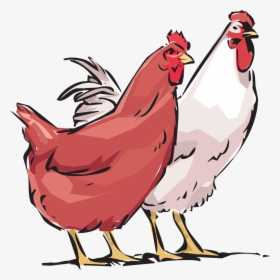 Cock Hd Png Transparent - Hens Clipart, Png Download, Transparent PNG