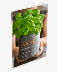 Basil From Seed To Table - Spinach, HD Png Download, Transparent PNG