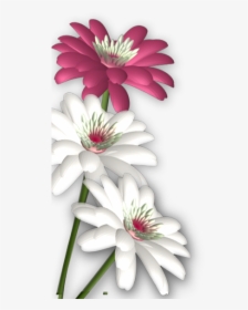 Massages Clipart Abstract Flower - Photoshop Flower Background Png, Transparent Png, Transparent PNG