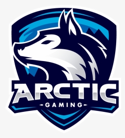 Arctic Gaming, HD Png Download, Transparent PNG