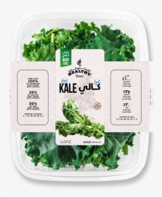 Transparent Kale Png - Spinach, Png Download, Transparent PNG