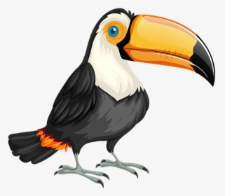 Toucan, Bird, Nature, Wild, Wildlife, Animal, Zoo - Tucan Png, Transparent Png, Transparent PNG