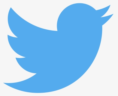 Twitter Bird Logo, HD Png Download, Transparent PNG