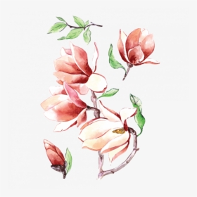 Transparent Magnolia Png - Color Flower Tattoo Png, Png Download, Transparent PNG