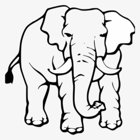 White Elephant Clip Art - Elephant Coloring Page, HD Png Download, Transparent PNG