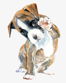 Oil Hello Watercolor Boxer Puppy Painting Drawing Clipart - Puppy Watercolor, HD Png Download, Transparent PNG