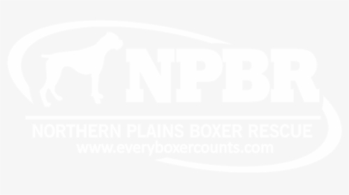 Boxer Png, Transparent Png, Transparent PNG