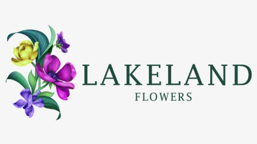 Lakeland, Fl Florist - Flower, HD Png Download, Transparent PNG