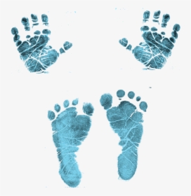 Transparent Baby Feet Clipart - Baby Hand Prints Clipart, HD Png Download, Transparent PNG