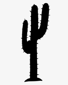 Cartoon Cactus Transparent - Illustration, HD Png Download , Transparent  Png Image - PNGitem