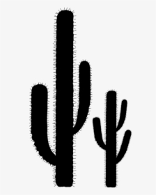 Saguaro Clipart , Png Download - Кактус На Прозрачном Фоне, Transparent Png, Transparent PNG