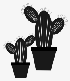 Cactus, Flower, Nature, Green, Flower Garden - Cacto Em Desenho Preto E Branco, HD Png Download, Transparent PNG