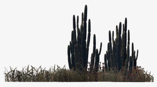 Saguaro - Desert Plants Png, Transparent Png, Transparent PNG