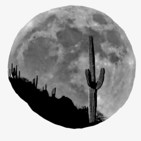 Full Moon, HD Png Download, Transparent PNG