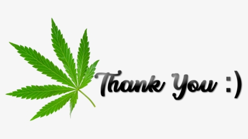 Thank You Cannabis Png - Thank You Cannabis, Transparent Png, Transparent PNG