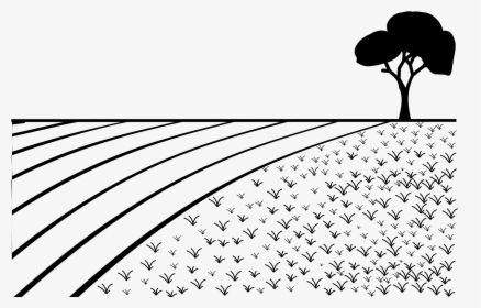 Field Png Download - Field Black And White Clipart, Transparent Png, Transparent PNG