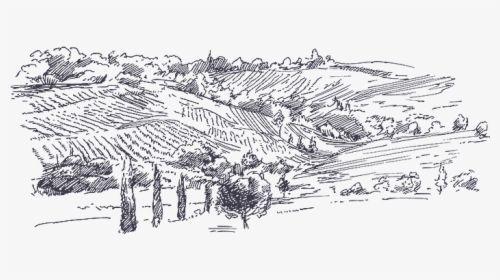 Picture Download Judean Montefiore Wines In - Old Vineyard Draw, HD Png Download, Transparent PNG