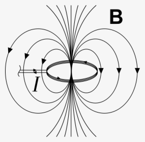 Magnetic Field Due To Current Loop Clip Arts - Magnetic Field Of Ring Current, HD Png Download, Transparent PNG