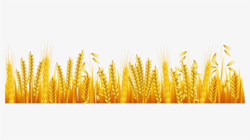 Common Cartoon Transprent Png Free Download Grass - Cartoon Wheat Field Png, Transparent Png, Transparent PNG