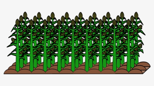 Field, Cultivated, Cultivation, Food, Plant, Harvest - Obrazy Dla Roslin Uprawnych, HD Png Download, Transparent PNG