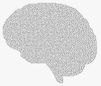 Brain, Cranium, Head, Psychology, Skull, Think, Thought - Brain Maze, HD Png Download, Transparent PNG