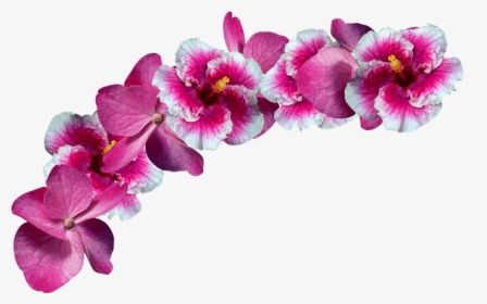 #freetoedit#flowers #crown #remixit - Pink Flower Crown Png, Transparent Png, Transparent PNG
