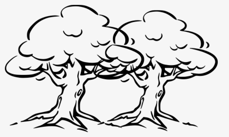 Clip Art Oak Tree Outlines - Big Tree Drawing Easy, HD Png Download, Transparent PNG