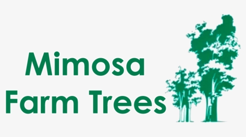 Mimosa Farm Trees - Kingdom Of Fools Story, HD Png Download, Transparent PNG