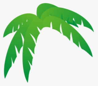 Palm S Tree Leaves Vector Illustration - Palm Tree Leaves Cartoon, HD Png Download, Transparent PNG
