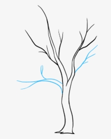 How To Draw A Fall Tree - Illustration, HD Png Download, Transparent PNG