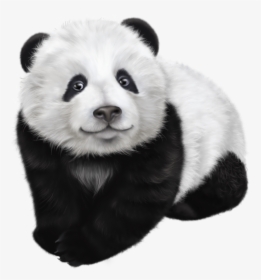 Panda Face Png - Transparent Panda Png, Png Download, Transparent PNG