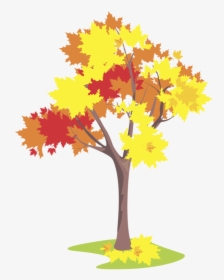 Maple Flashcard, HD Png Download, Transparent PNG
