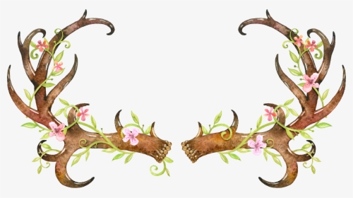White Tailed Deer Elk Antler Skull - Watercolor Deer Skull With Flowers, HD Png Download, Transparent PNG