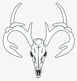 Deer, Skull, Hunt, Hunting, Taxidermy, European Mount - Gambar Logo Kepala Rusa, HD Png Download, Transparent PNG