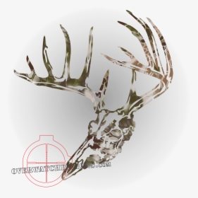 Kryptek Deer Skull - Whitetail Deer Skull Decal, HD Png Download, Transparent PNG