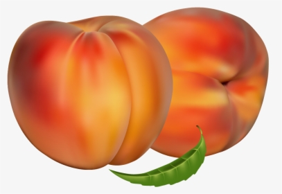 Peaches Png Clipart - Peaches Clipart, Transparent Png, Transparent PNG
