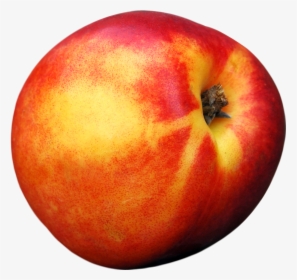 Peach Png Image Image - Single Peach Png, Transparent Png, Transparent PNG