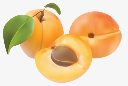 Peaches Png Image - Abricot Clipart, Transparent Png, Transparent PNG
