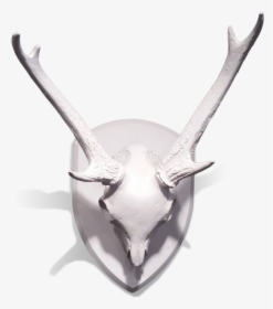 Gold Leaf Design Group Mule Deer Skull With Antlers - Deer, HD Png Download, Transparent PNG