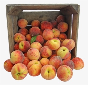 Peach, Peaches, Pennsylvania, Amish, Crate, Fruit, - Caixote Com Frutas Png, Transparent Png, Transparent PNG