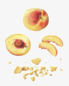 Nectarine, HD Png Download, Transparent PNG