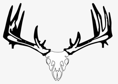 Vector Freeuse Download Whitetail Crossbow - Pse Archery, HD Png Download, Transparent PNG