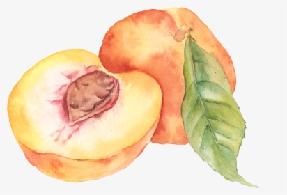 Peaches Png, Transparent Png, Transparent PNG