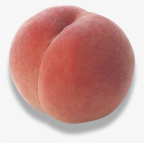 Peach, HD Png Download, Transparent PNG